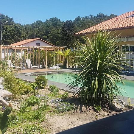 Chambre D'Hotes Avec Terrasse, Meuble Tourisme 1 Etoile Labenne Eksteriør billede